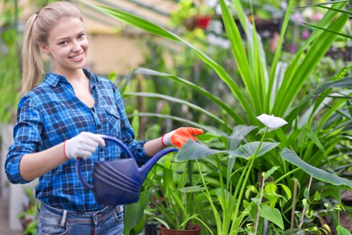 Gardener trimming a tall hedge in a residential area