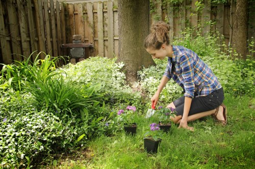 A young woman in a blue plaid shirt and black shorts is kneeling on a well-maintained grassy lawn in a garden, actively planting small flowering plants into the soil. The garden features a variety of lush green plants, including broad-leaved shrubs and ornamental grasses, with some flowering species displaying purple blossoms. In the background, a wooden fence encloses the outdoor space, which also contains mature trees providing shade and a weathered garden structure or barbecue. The scene is set during daylight with natural light illuminating the vibrant green foliage and the womanâ€™s focused activity, reflecting a well-tended outdoor area that could benefit from professional gardening services such as planting, lawn care, and landscape maintenance. The garden's neat layout, healthy lawn, and diverse plantings make it a pleasant environment for outdoor gardening activities in Thamesmead or nearby areas, aligning with local gardening needs and aesthetic standards.