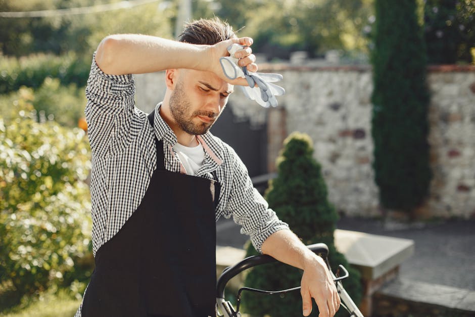 A gardener wearing a wide-brimmed hat and dark clothing is trimming a dense, leafy hedge using long-handled pruning shears. The hedge has small, rounded green leaves with clusters of pink flowers scat
